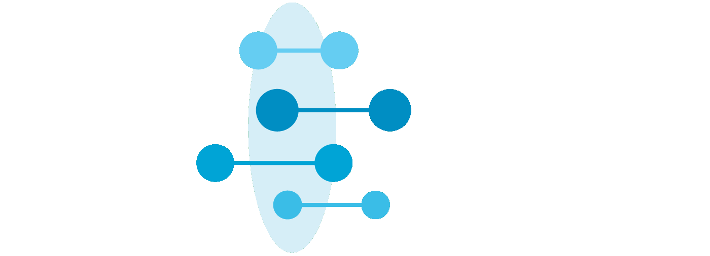 CCMI Logo