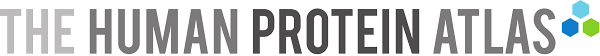 The Human Protein Atlas logo