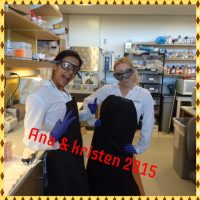 Processed with Moldiv